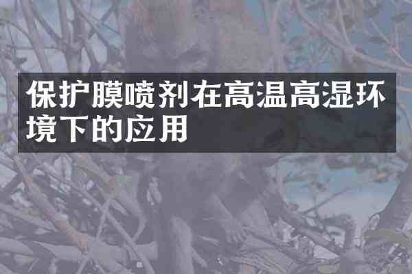 保护膜喷剂在高温高湿环境下的应用