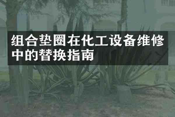 组合垫圈在化工设备维修中的替换指南