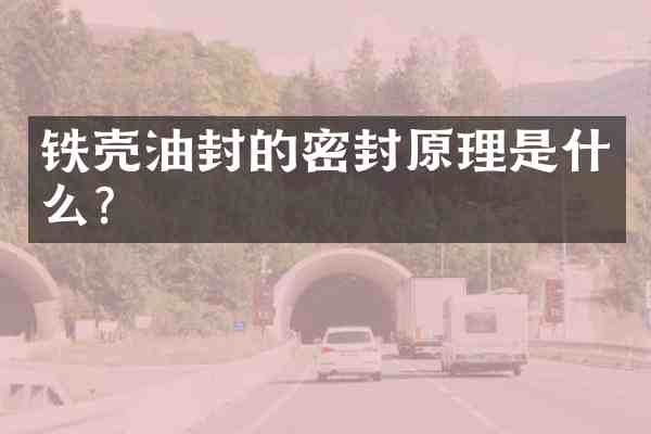 铁壳油封的密封原理是什么?