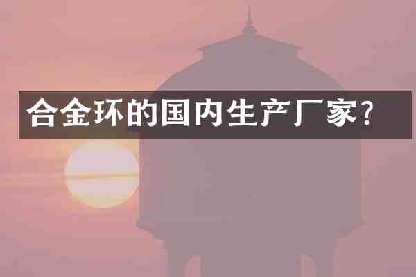 合金环的国内生产厂家？