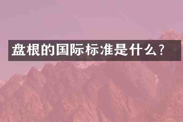 盘根的国际标准是什么?