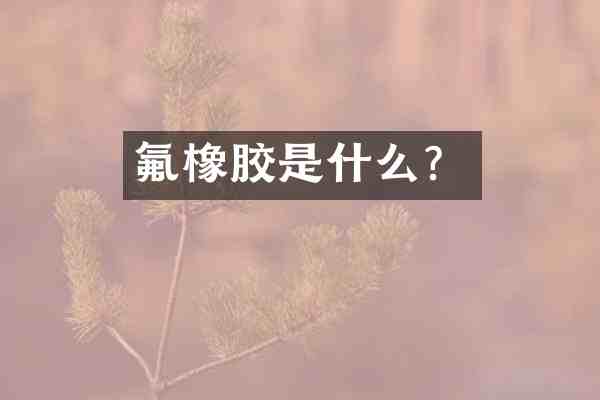 氟橡胶是什么?