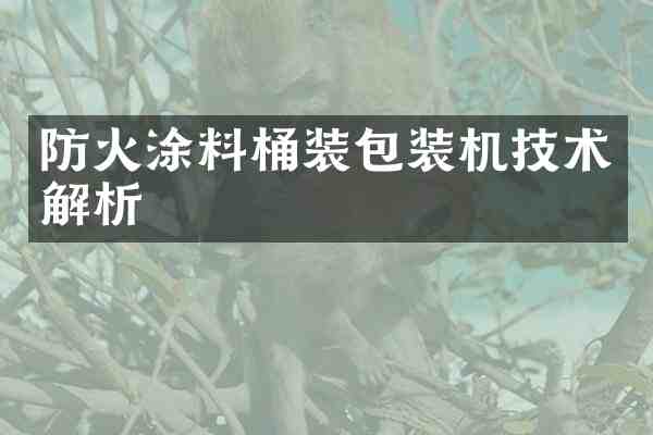 防火涂料桶装包装机技术解析