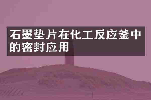 石墨垫片在化工反应釜中的密封应用