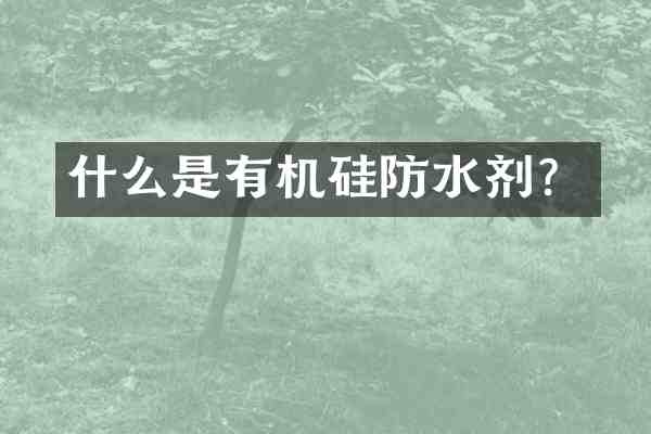 什么是有机硅防水剂?