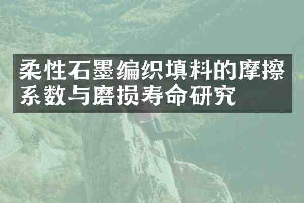 柔性石墨编织填料的摩擦系数与磨损寿命研究