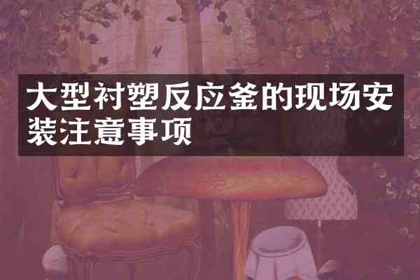 大型衬塑反应釜的现场安装注意事项