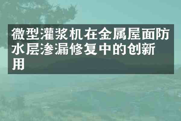 微型灌浆机在金属屋面防水层渗漏修复中的创新应用