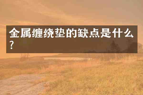 金属缠绕垫的缺点是什么?