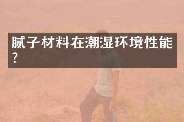 腻子材料在潮湿环境性能?