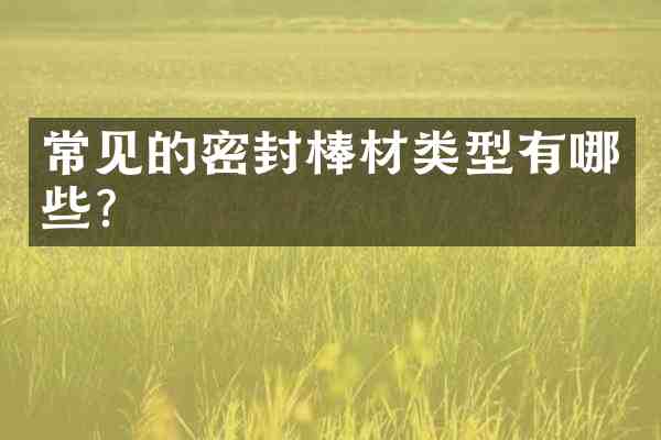 常见的密封棒材类型有哪些?