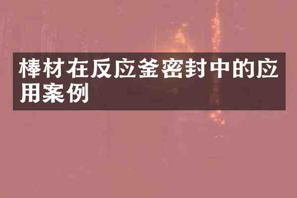 棒材在反应釜密封中的应用案例