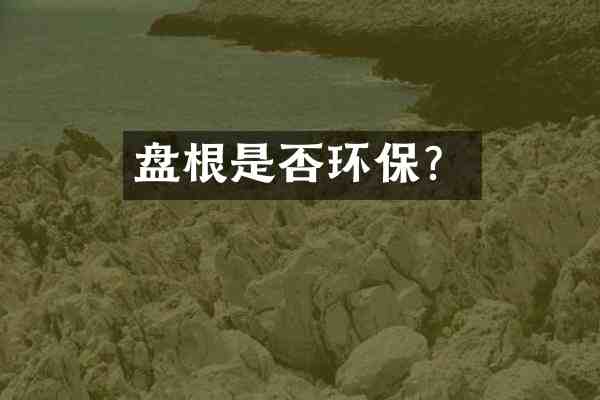 盘根是否环保?