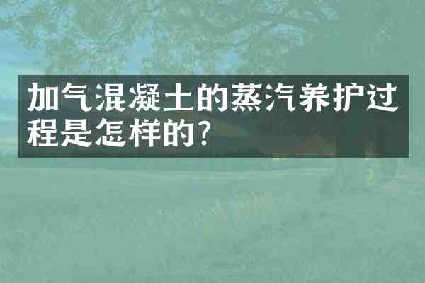 加气混凝土的蒸汽养护过程是怎样的?
