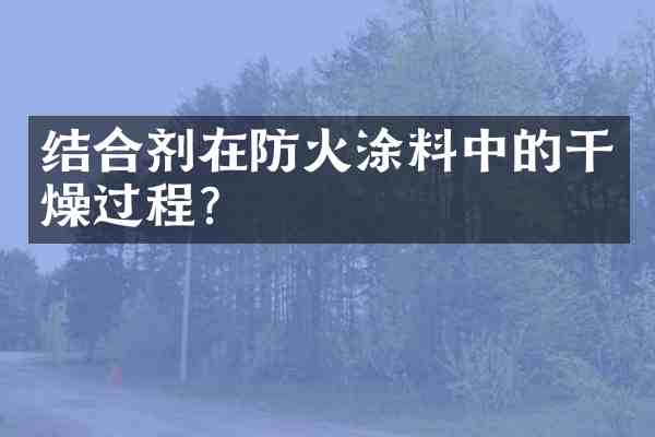结合剂在防火涂料中的干燥过程?