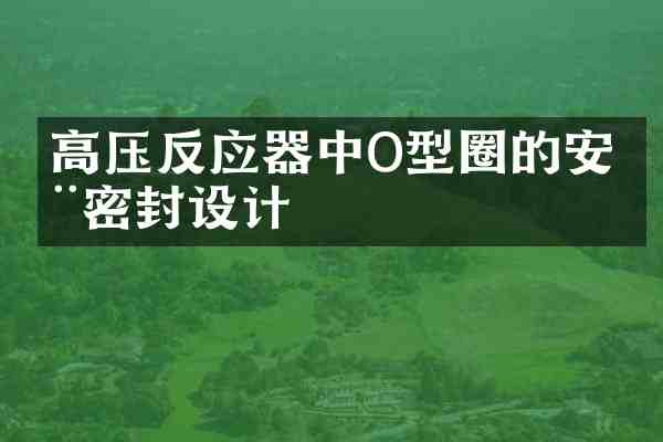 高压反应器中O型圈的安全密封设计