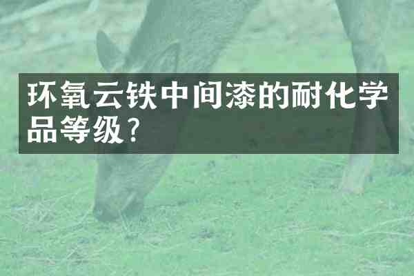 环氧云铁中间漆的耐化学品等级?