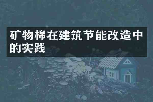 矿物棉在建筑节能改造中的实践