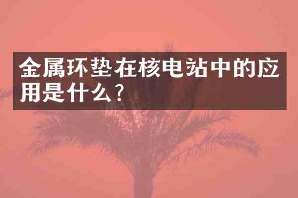 金属环垫在核电站中的应用是什么?
