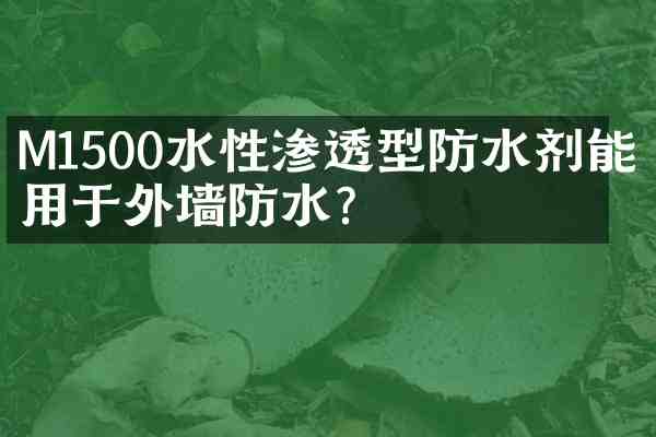 M1500水性渗透型防水剂能否用于外墙防水?