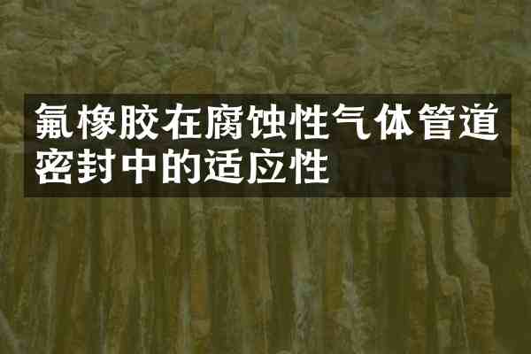 氟橡胶在腐蚀性气体管道密封中的适应性