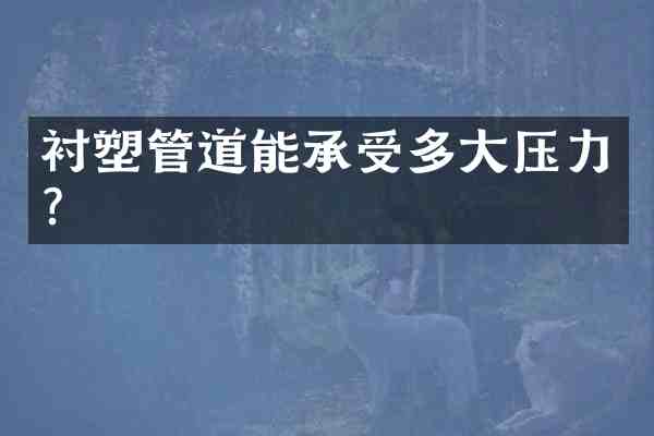 衬塑管道能承受多大压力?