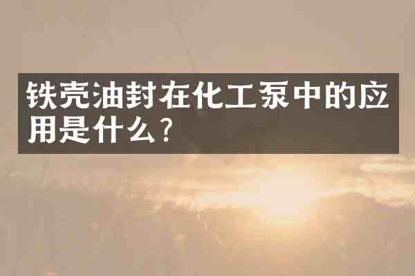 铁壳油封在化工泵中的应用是什么?