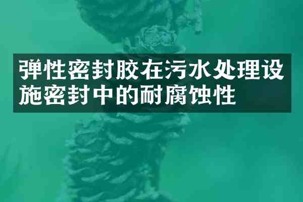弹性密封胶在污水处理设施密封中的耐腐蚀性