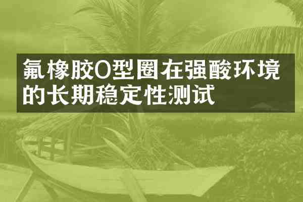 氟橡胶O型圈在强酸环境下的长期稳定性测试