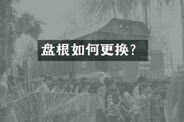 盘根如何更换?