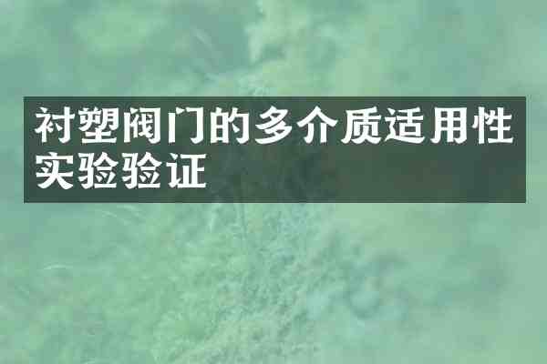 衬塑阀门的多介质适用性实验验证