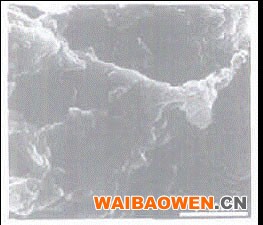 外保温抗裂砂浆材料性能影响因素